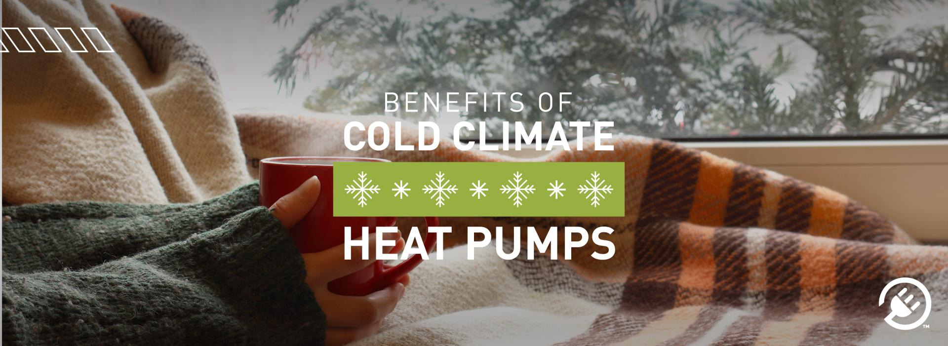 The Benefits of Heat Pumps in Cold Climates TriState Generation and